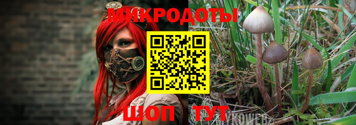 Галлюциногенные грибы Cubensis  Галлюциногенные грибы MAGIC MUSHROOMS  Вход с VPN  Коркино 